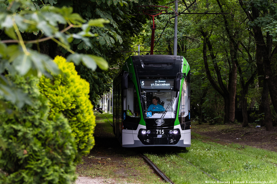 Власти назвали дату повышения тарифов на проезд в общественном транспорте