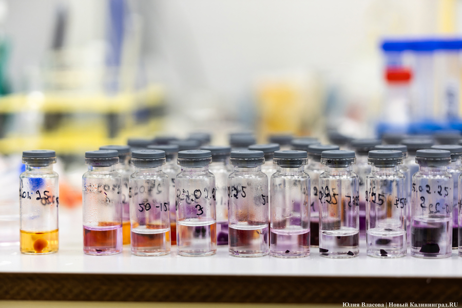 В БФУ им. Канта разработали магнитный очиститель воды, впитывающий промышленные красители 