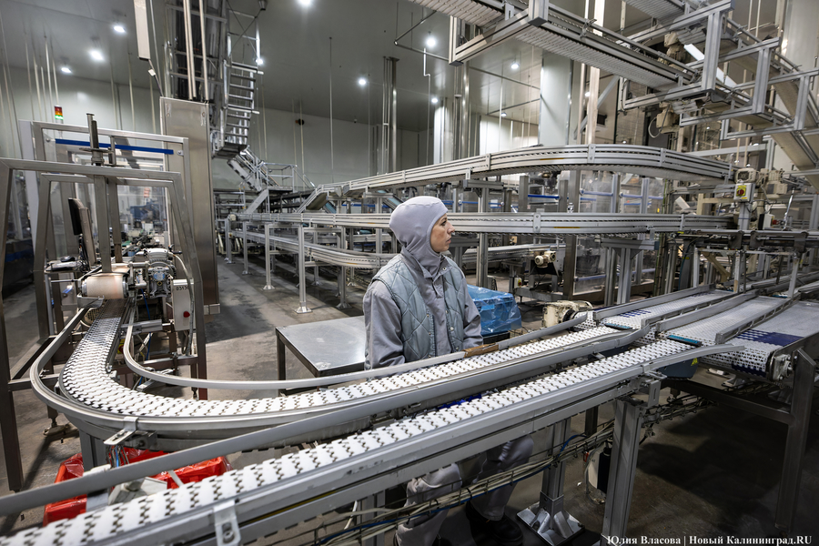 Власти рассказали, на что пойдут обещанные 250 млн рублей для промышленности