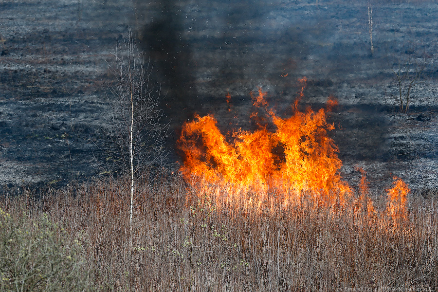 За сутки пожарные 18 раз выезжали на палы сухой травы в регионе