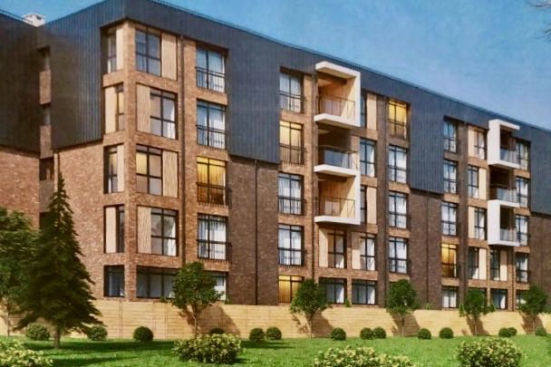 Активистам показали проект пятиэтажек, которые хотят строить в Отрадном