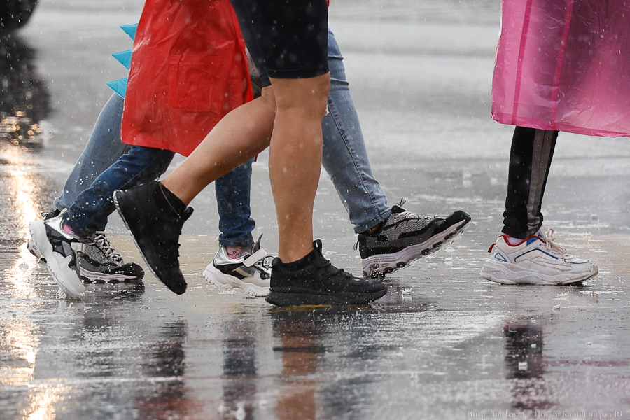 Погода в Калининградской области 29 мая