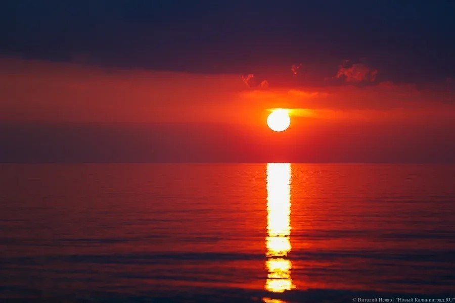 Прогноз: очередная изоляционная неделя в Калининграде будет солнечной и теплой