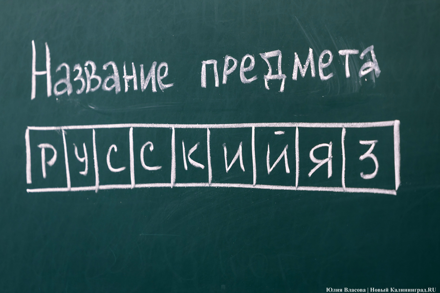 Минобр: в Калининградской области средний балл ЕГЭ по русскому не изменился