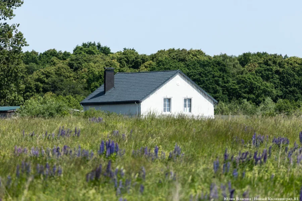 «Медленно отжимают участки»: садоводы приморских СНТ опасаются за будущее