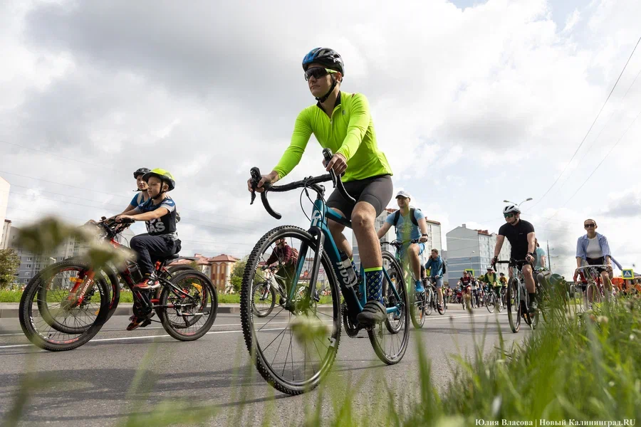 Калининградцев предупреждают о перекрытии движения на улицах Сельмы 1 сентября