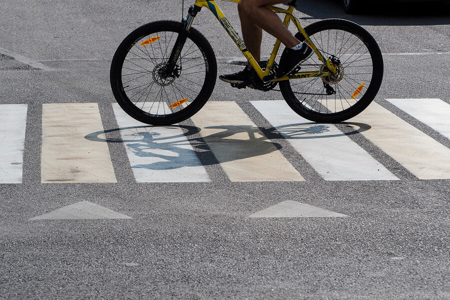 Медведев ввел понятие «Велосипедная зона»