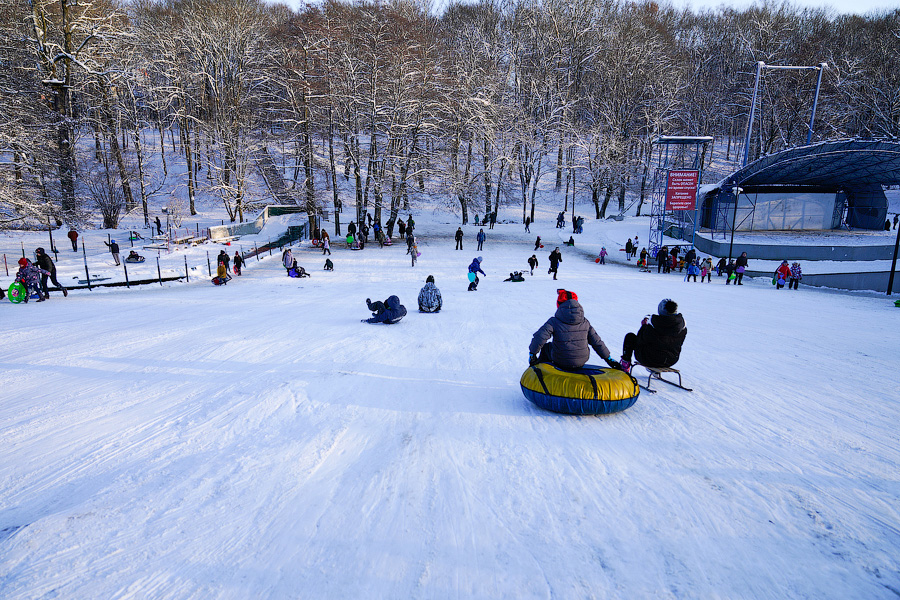 Горвласти пытаются купить амортизирующий материал для деревьев у горки в Центральном парке