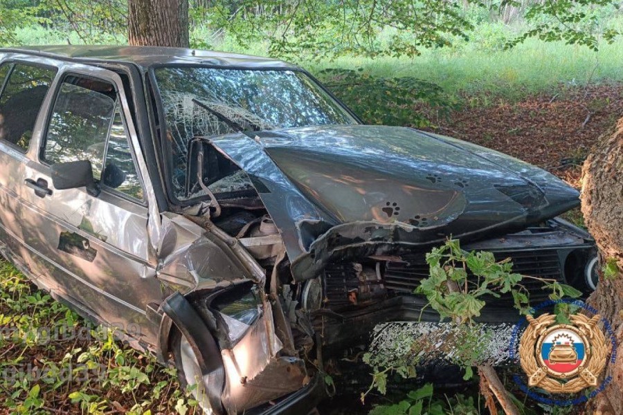 В Советске автомобиль врезался в дерево, пострадали 2 ребёнка (фото)