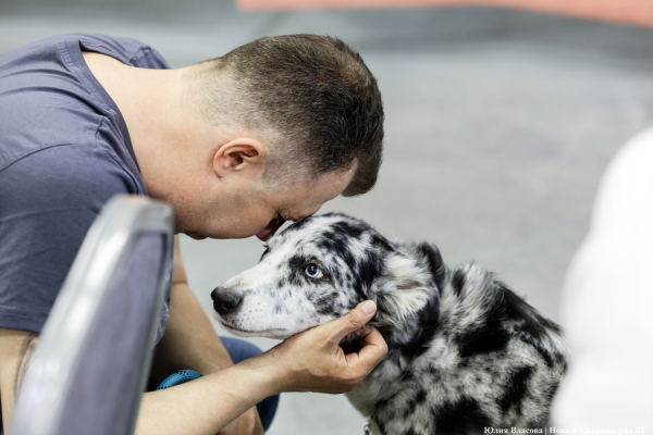 Вечерний @Калининград: «Лохматый оскар», ФИШтиваль и нескучная пенсия