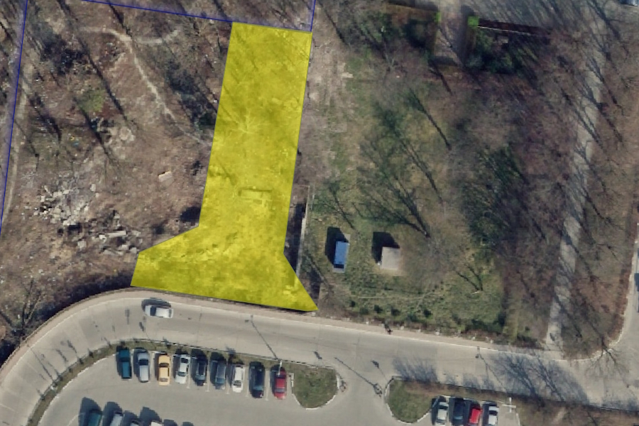 Власти Калининграда разрешили застройщику вырубить 99 деревьев на ул. Осенней