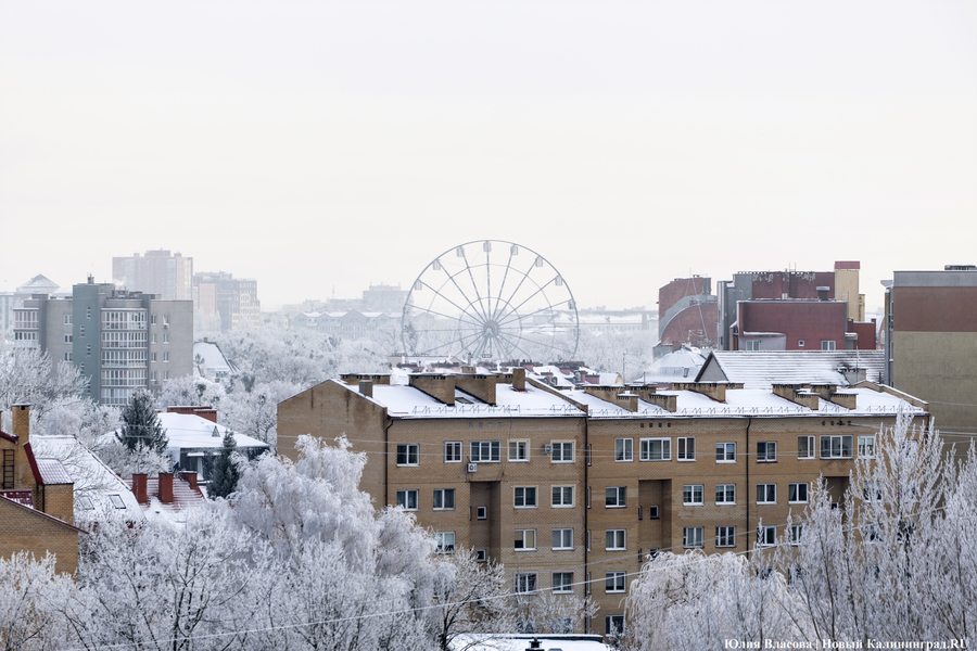 Холодные и ветреные выходные: прогноз погоды в Калининграде до конца недели
