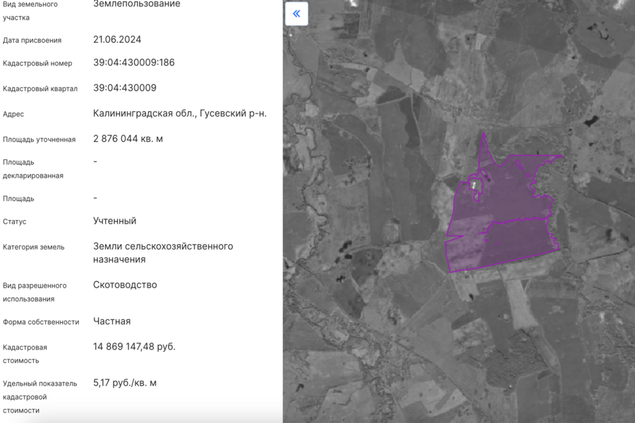 Облвласти разрешили построить молочно-товарный комплекс под Гусевом