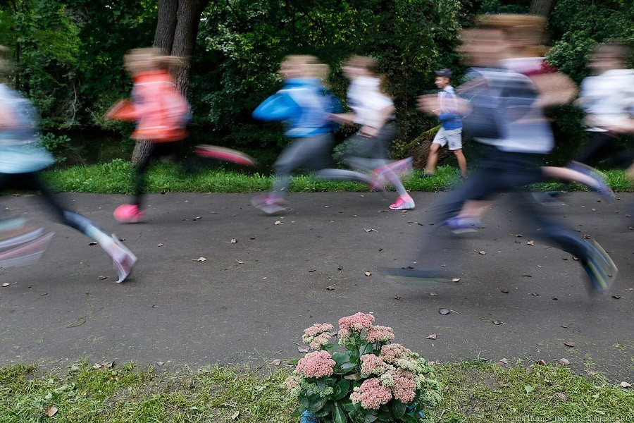В Светлогорске в субботу ограничат движение транспорта