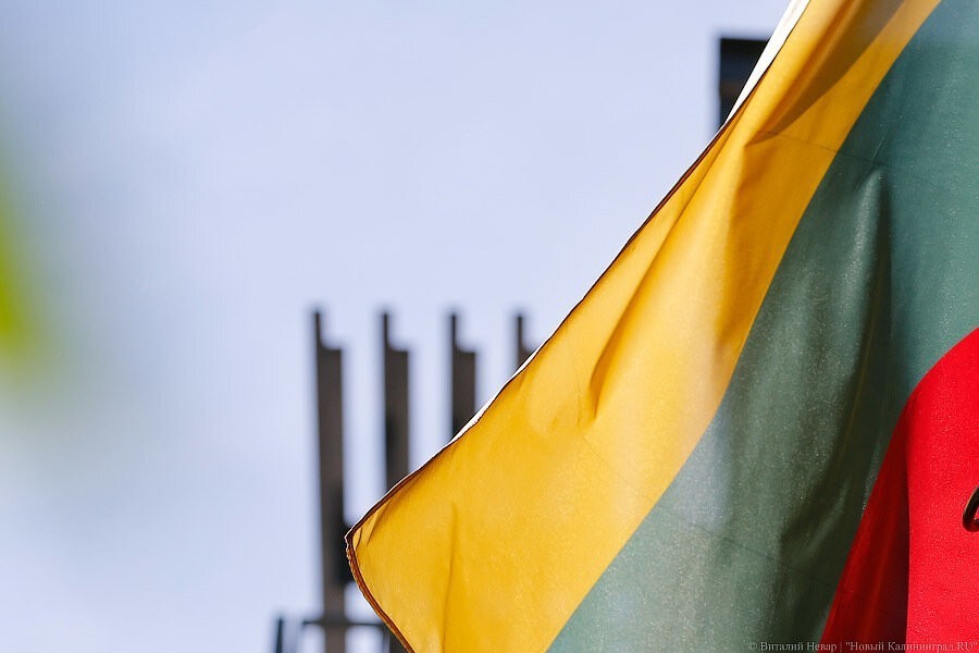 Литва решила «незамедлительно» предоставить Украине военную помощь