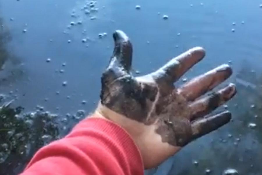 Экозащитники: Роспотребнадзор не нашел превышения количества угольной пыли в Шенфлизе