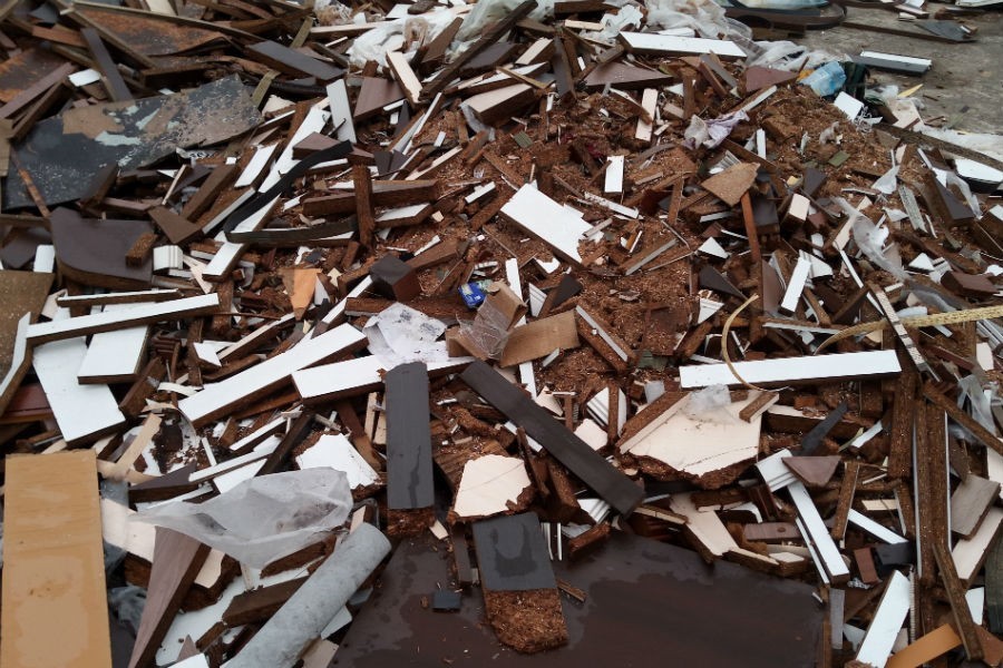 В Калининграде решили бороться с незаконными свалками, высаживая деревья