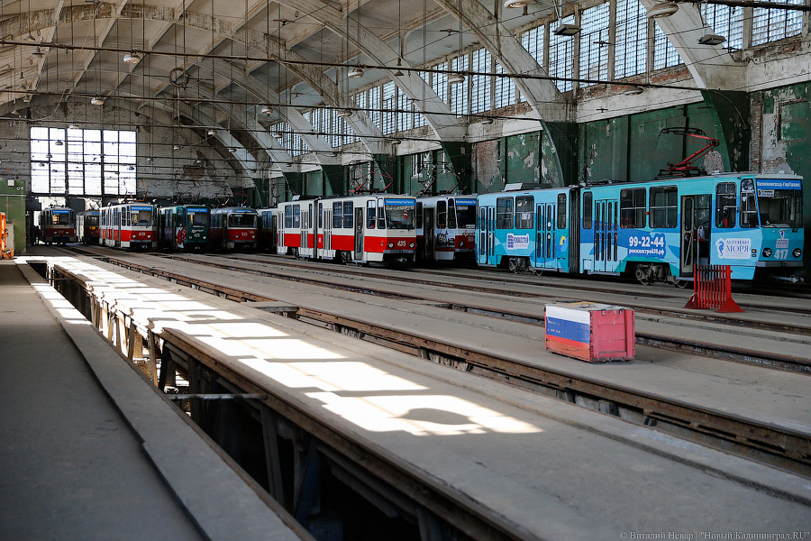 Ярошук хочет закупить для Калининграда бесконтактные трамваи и электробусы