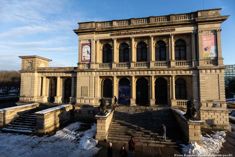 «Цветы, коты и ты»: в Калининграде анонсировали «самую весеннюю выставку»