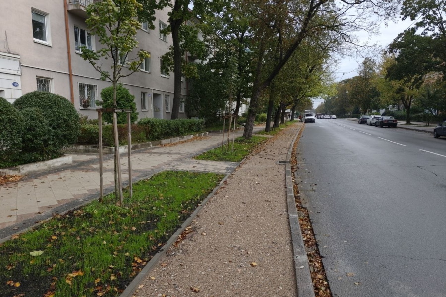 В Калининграде восстанавливают последнюю сохранившуюся велодорожку Кёнигсберга (фото)