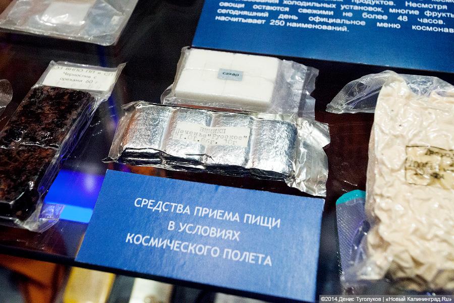 В Калининград привезут личные вещи Королева и полетный костюм обезьяны