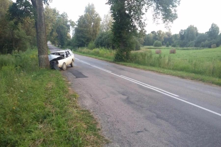 В Гусевском районе пьяный водитель «Фольксвагена» врезался в дерево, погиб пассажир
