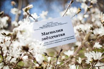 Ботанический сад открывается для посетителей после зимы