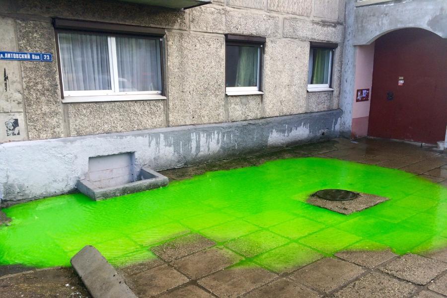 В Калининграде двор затопило жидкостью кислотно-зелёного цвета (фото)