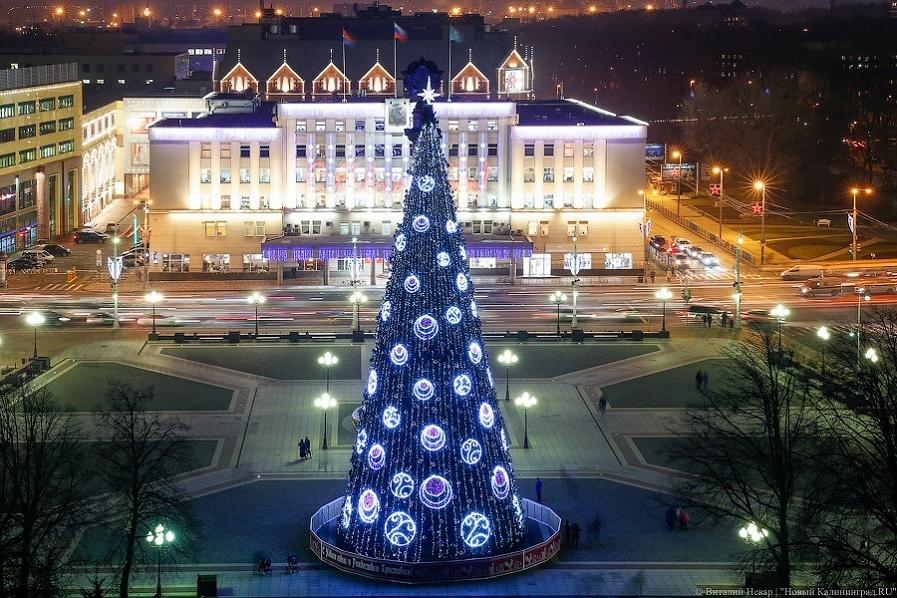 Новогодняя Елка Победы Новогодняя Елка Победы