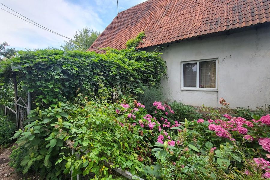 Загородная усадьба, залив, янтарь и аисты: топ недвижимости в Рыбачьем