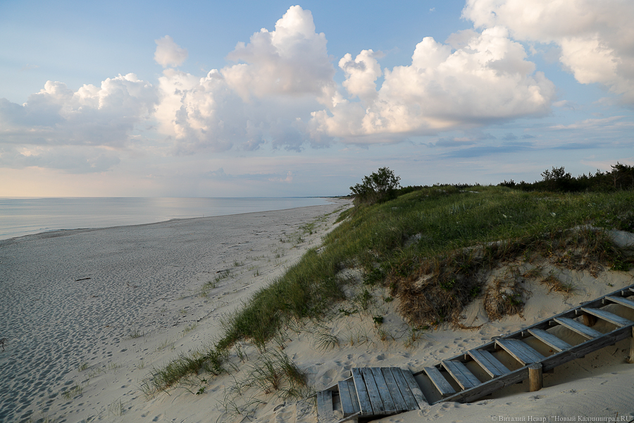 Кошевой: из-за зимних штормов не стало части дюн, по которым должны были пройти деревянные дорожки