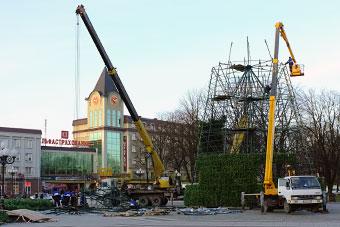 Власти Калининграда купили новую “главную елку” города за 6 млн руб. без торгов