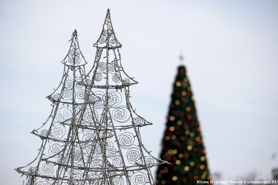 Елена Дятлова — о миссии Калининграда: он «не может быть городом праздников»