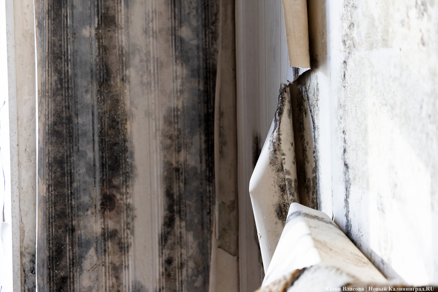 В Калининграде с УК взыскали ущерб за испорченную из-за протекающей кровли квартиру