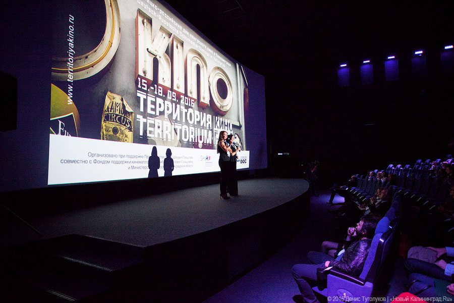 Фильм открытия фестиваля «Территория кино» представит историк Наум Клейман