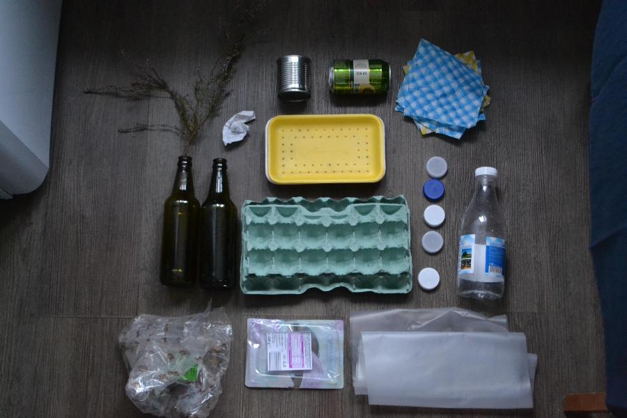 В Правительстве РФ предложили возвращать деньги сортирующим мусор гражданам