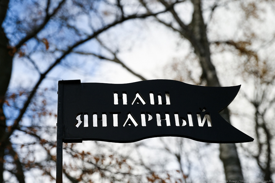 Между Янтарным и Синявино планируют построить велодорожку