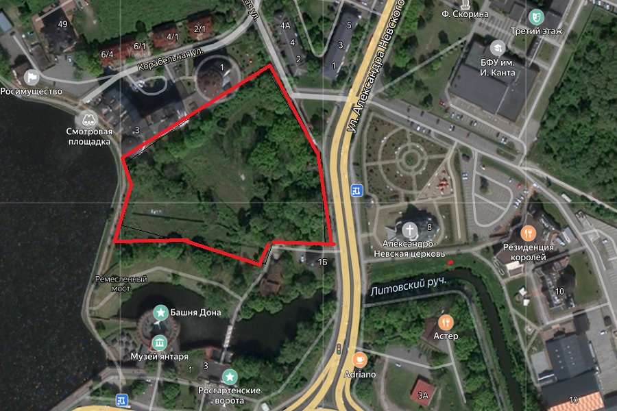 Застройщику гостиницы разрешили вырубить «неперспективную растительность» за Музеем янтаря