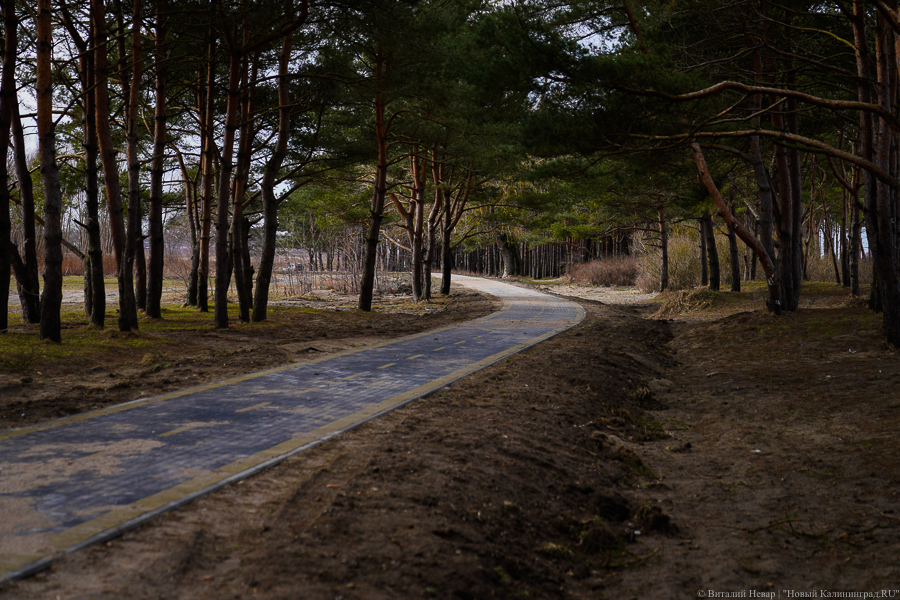Сдачу велодорожки из Зеленоградска до Приморья снова перенесли