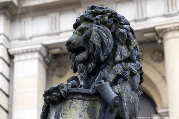 Историческое наследие, лазер и чёрные львы: о чём говорили на конференции реставраторов