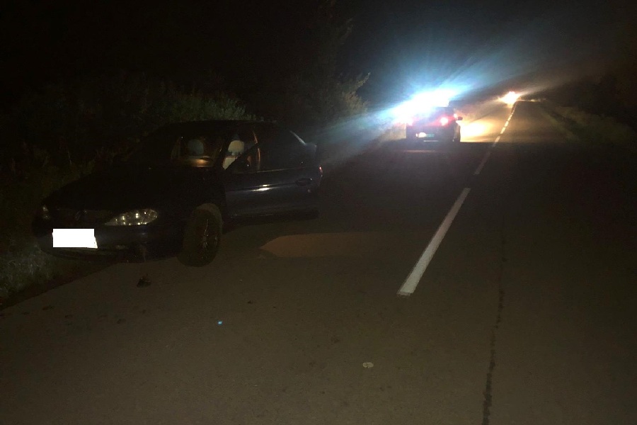 Под Правдинском водитель «Рено» наехал на лежавшего на дороге пешехода