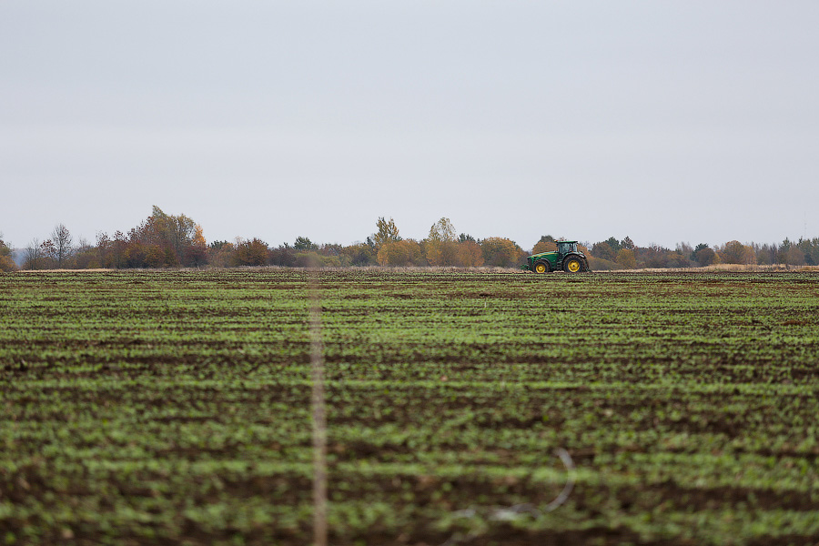 В Калининградской области удалось засеять озимыми лишь 2/3 от планируемых площадей