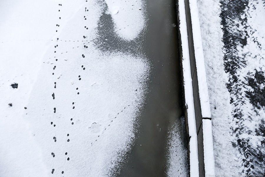 В Гвардейске водолазы ищут тело 6-летнего ребенка