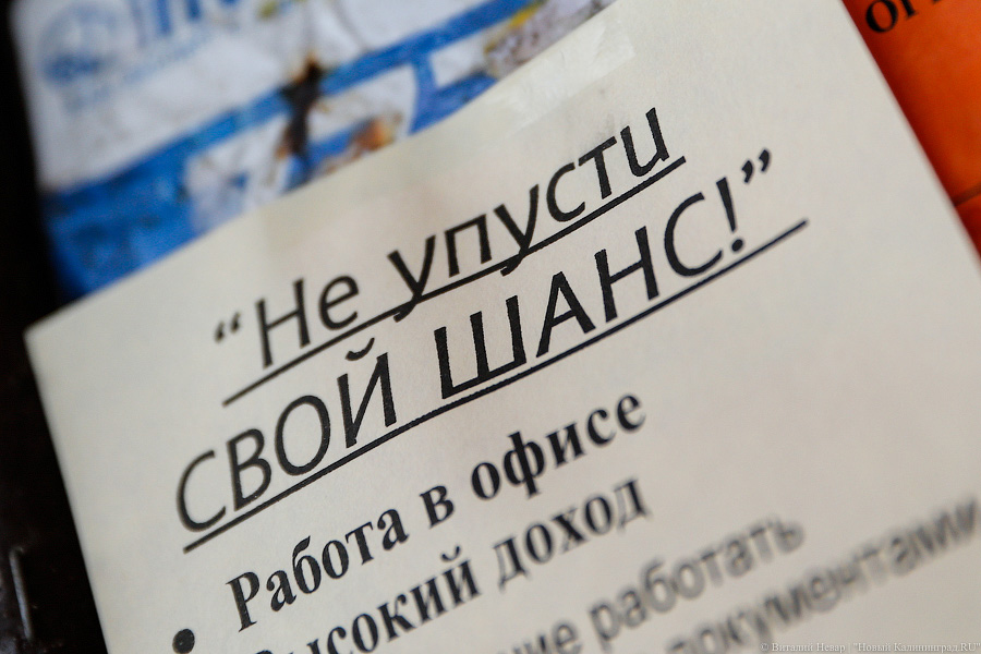В Калининградской области мигрантам запретили по патенту печь хлеб и возить пассажиров