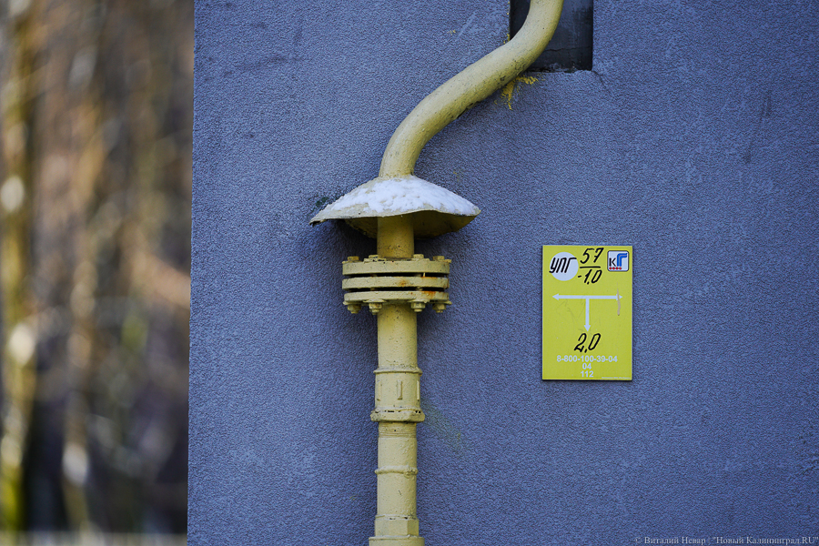 Подрядчик газопровода в Балтийск возобновил «активную фазу строительства» и получил претензию