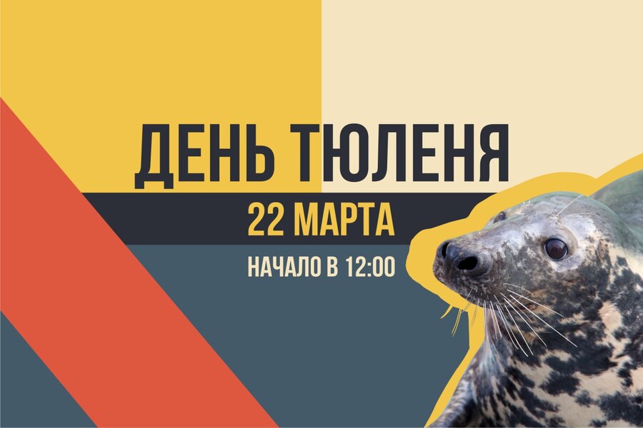 В Калининградском зоопарке отметят День тюленя 