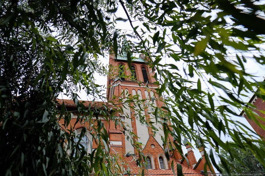 Гарлемский свинг, парижское кабаре: филармония объявила программу фестиваля джаза