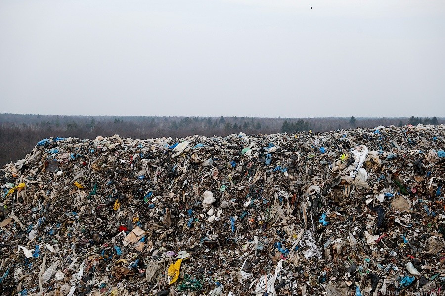 Мэрия: после закрытия полигона ТБО в городе стало больше стихийных свалок