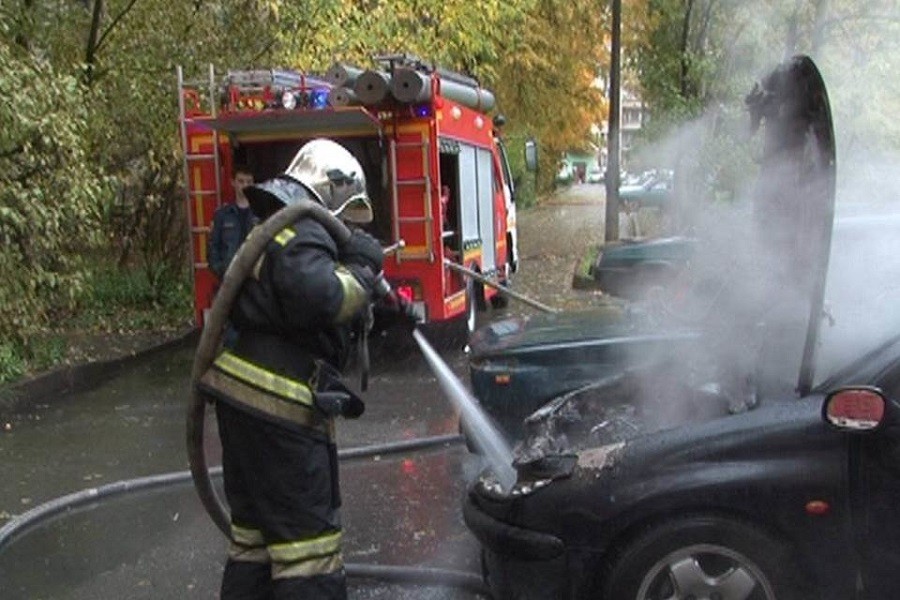 В СНТ в Калининграде ночью сгорел микроавтобус, пострадали еще два авто (фото)