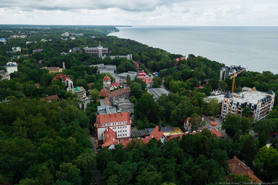 Сибирева: я не приемлю высотное строительство в Калининграде и приморских городах